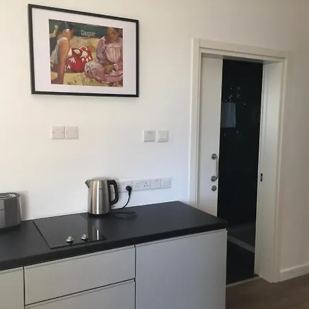 Large Holiday Apartments Apartment